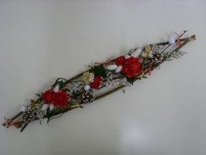 DSCN0027r.jpg