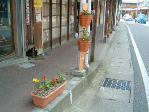 flower.jpg
